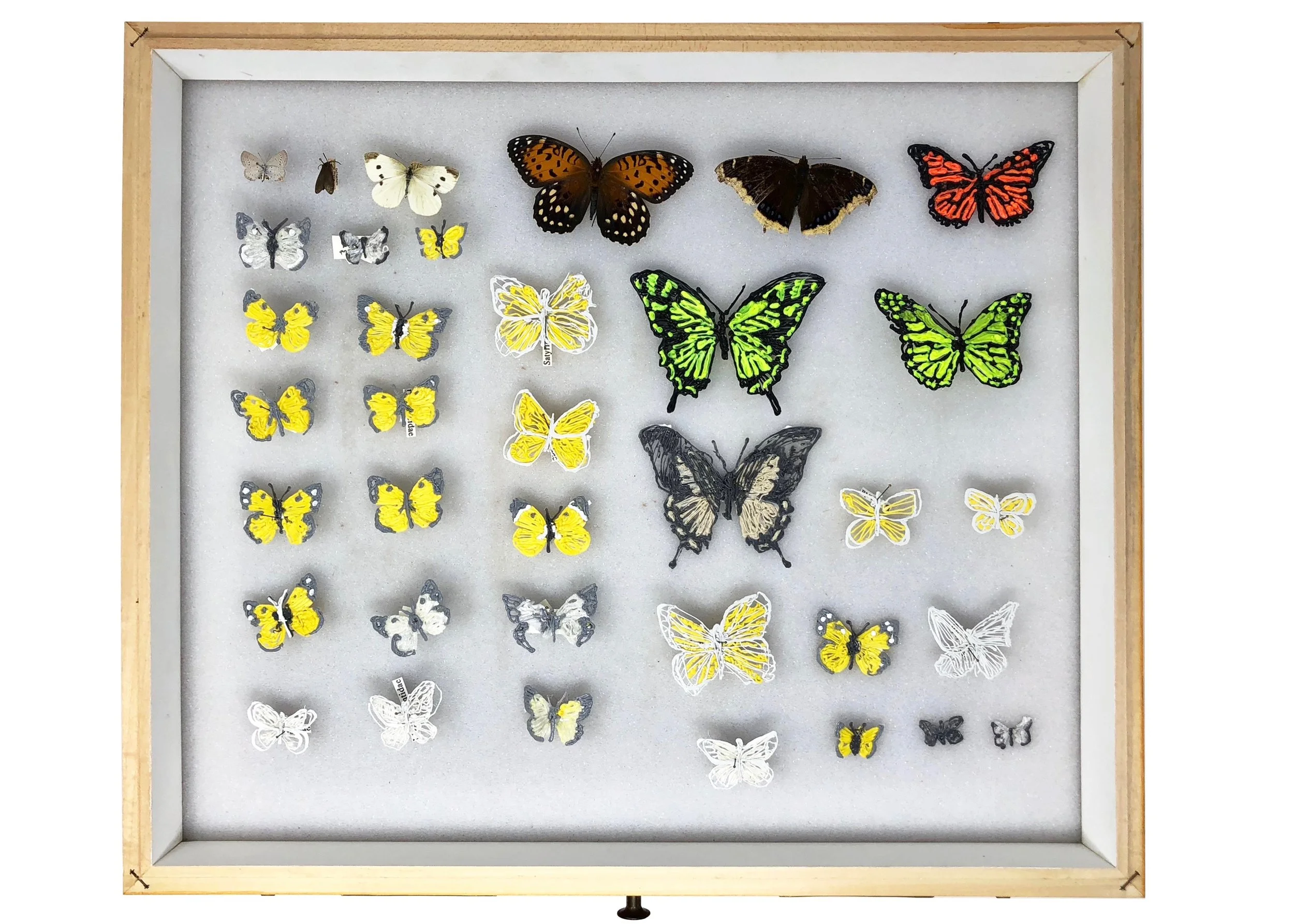 Insect Chart-1, 3D-printed plastic, steel pins, paper labels with ink, 12 x 17.75 x 2.5 inches, 2018
