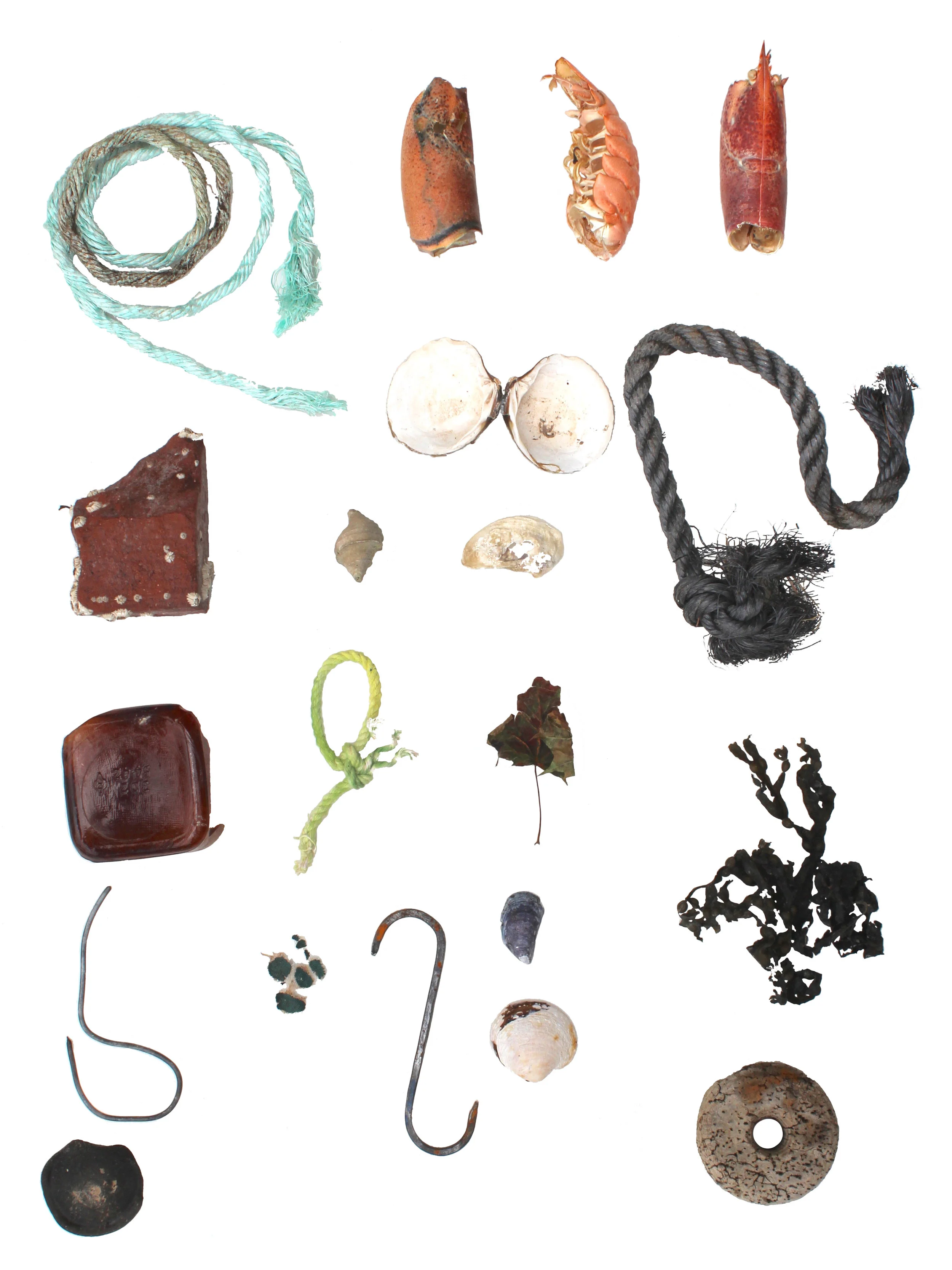 Objects of Land and Sea-2, digital print on paper, 21.5 x 17 inches, 2016