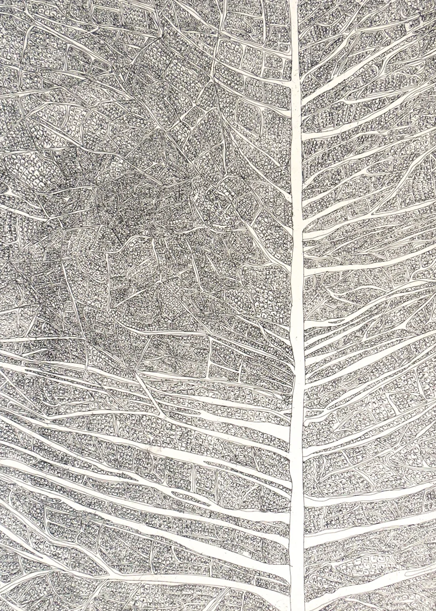 Navigation-2, hard-ground etching on zinc, printed on hahnemuhle, 22 x 29.5 inches, 2013