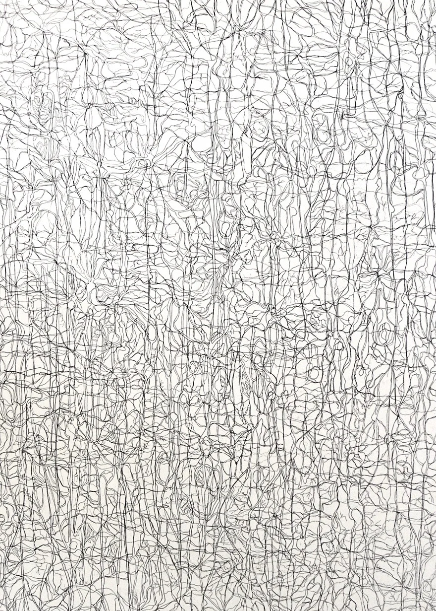 Navigation-3, hard-ground etching on zinc, printed on hahnemuhle, 22 x 29.5 inches, 2013