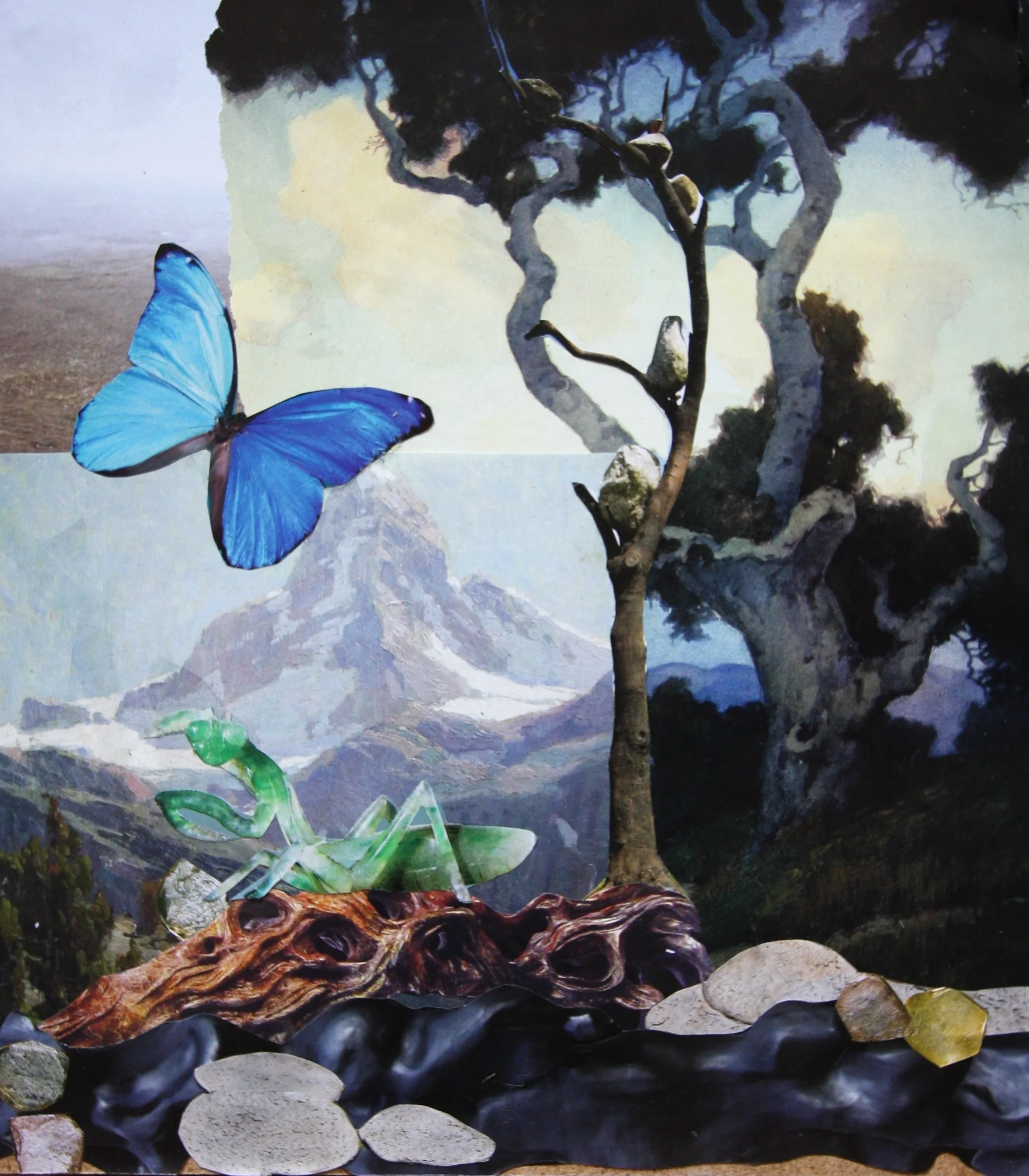 Forest, collage and resin on panel, 11.75 x 10.5 inches, 2015