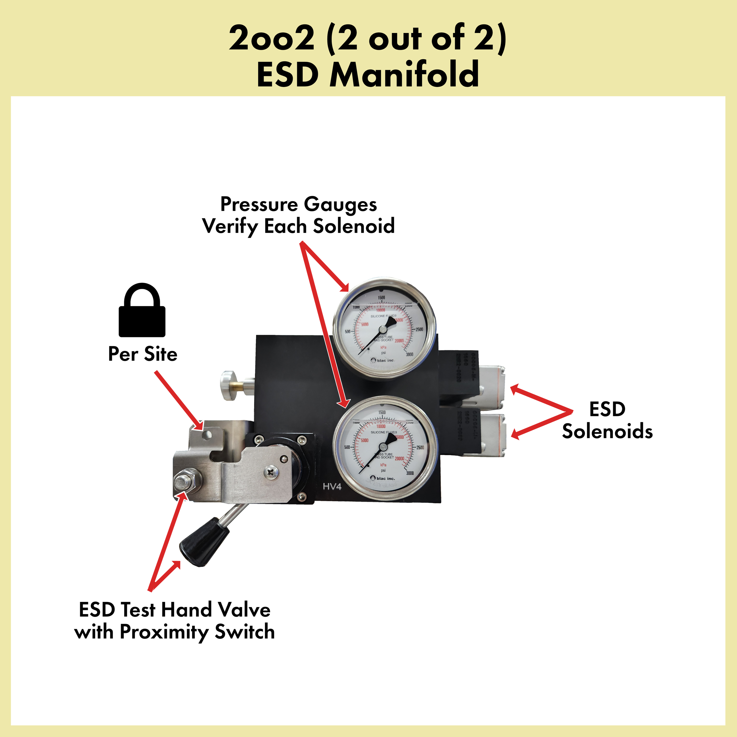 2oo2 ESD Manifold