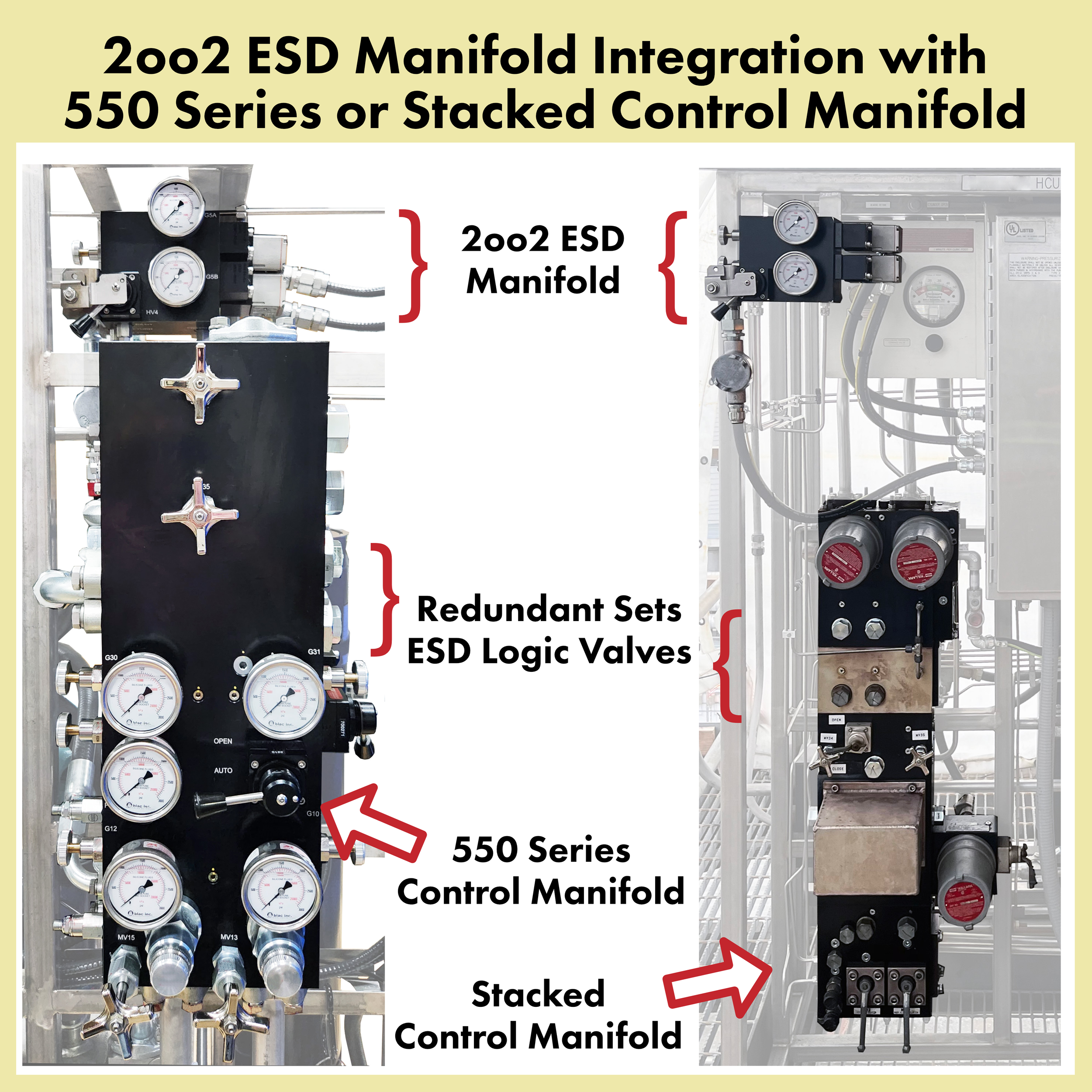 ESD Manifold Integration