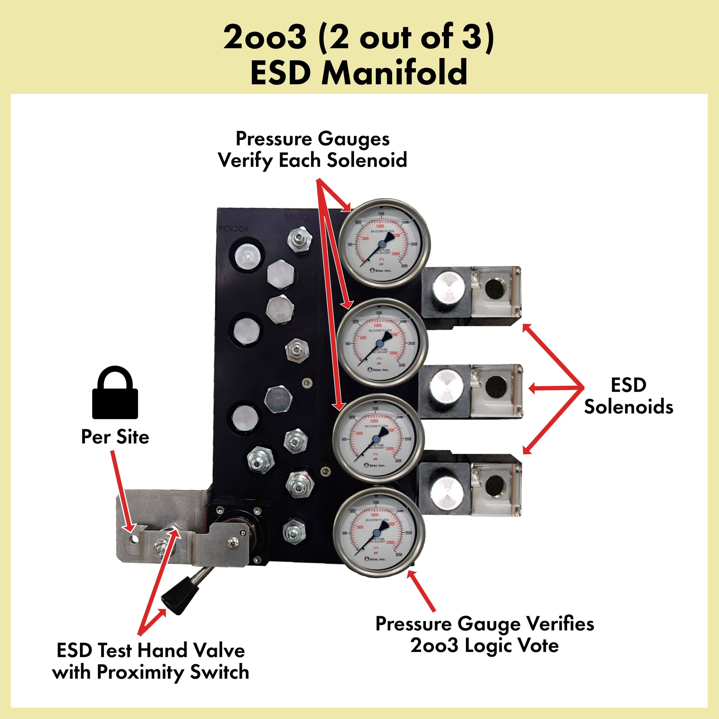 2oo3 ESD Manifold