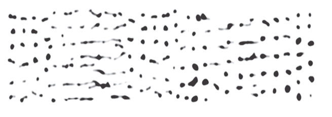Nayda.png