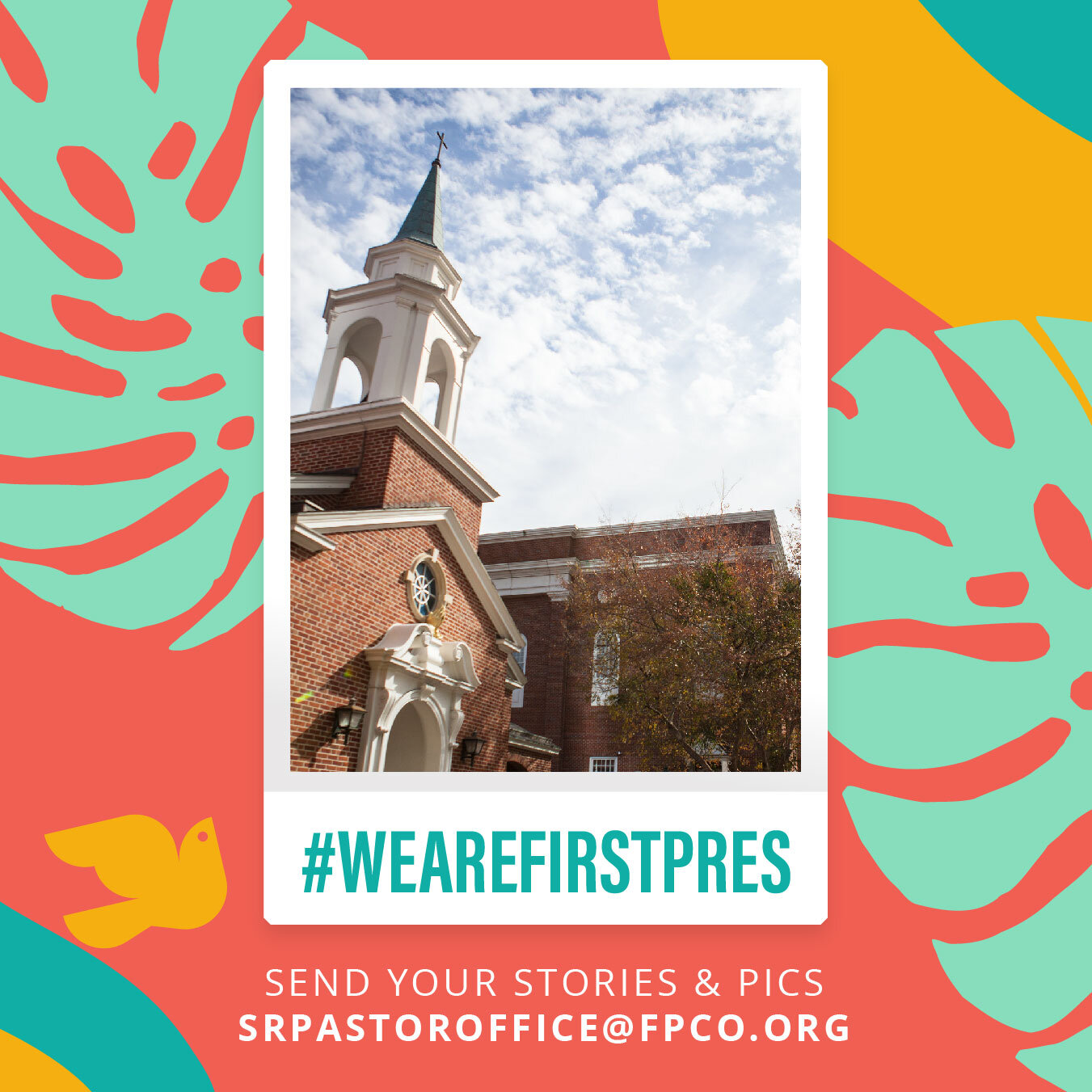 #WeAreFirstPres Stories: The Christ School Surprise