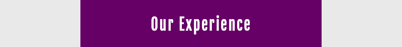 perceptum-group-clients-experience.png