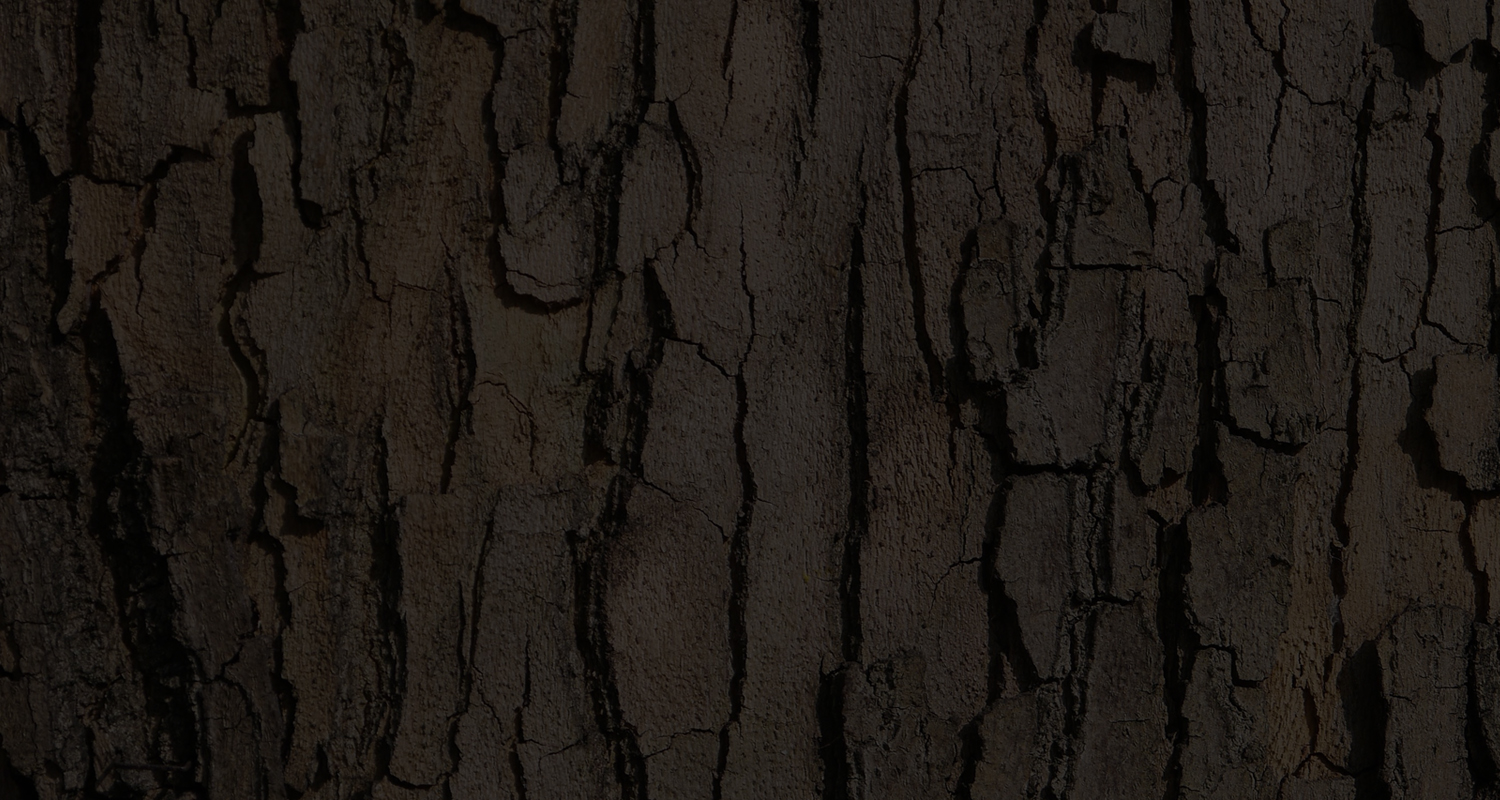 greenroom_banner-texture-5.jpg