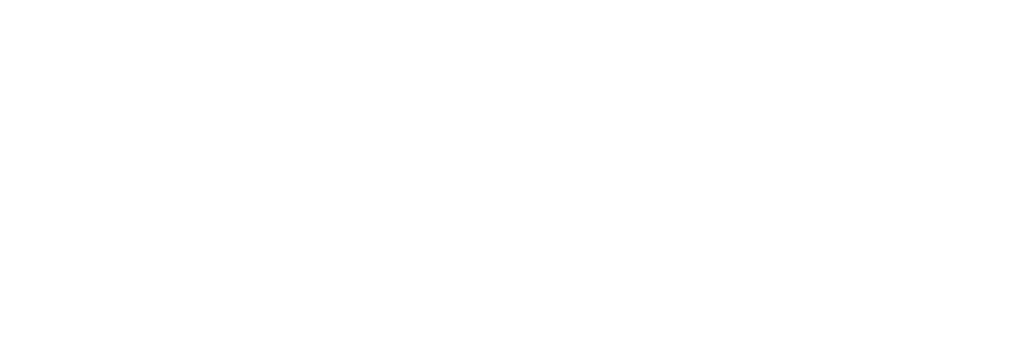 Turtle Power Fitness