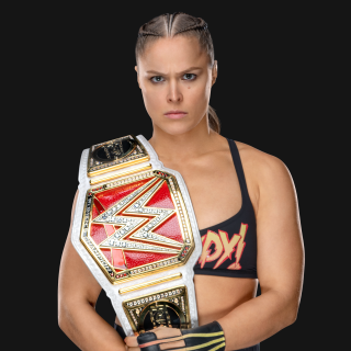 Ronda_Rousey_protitle--952bd7a05e6a862ef1efbdc7f86caedb.png