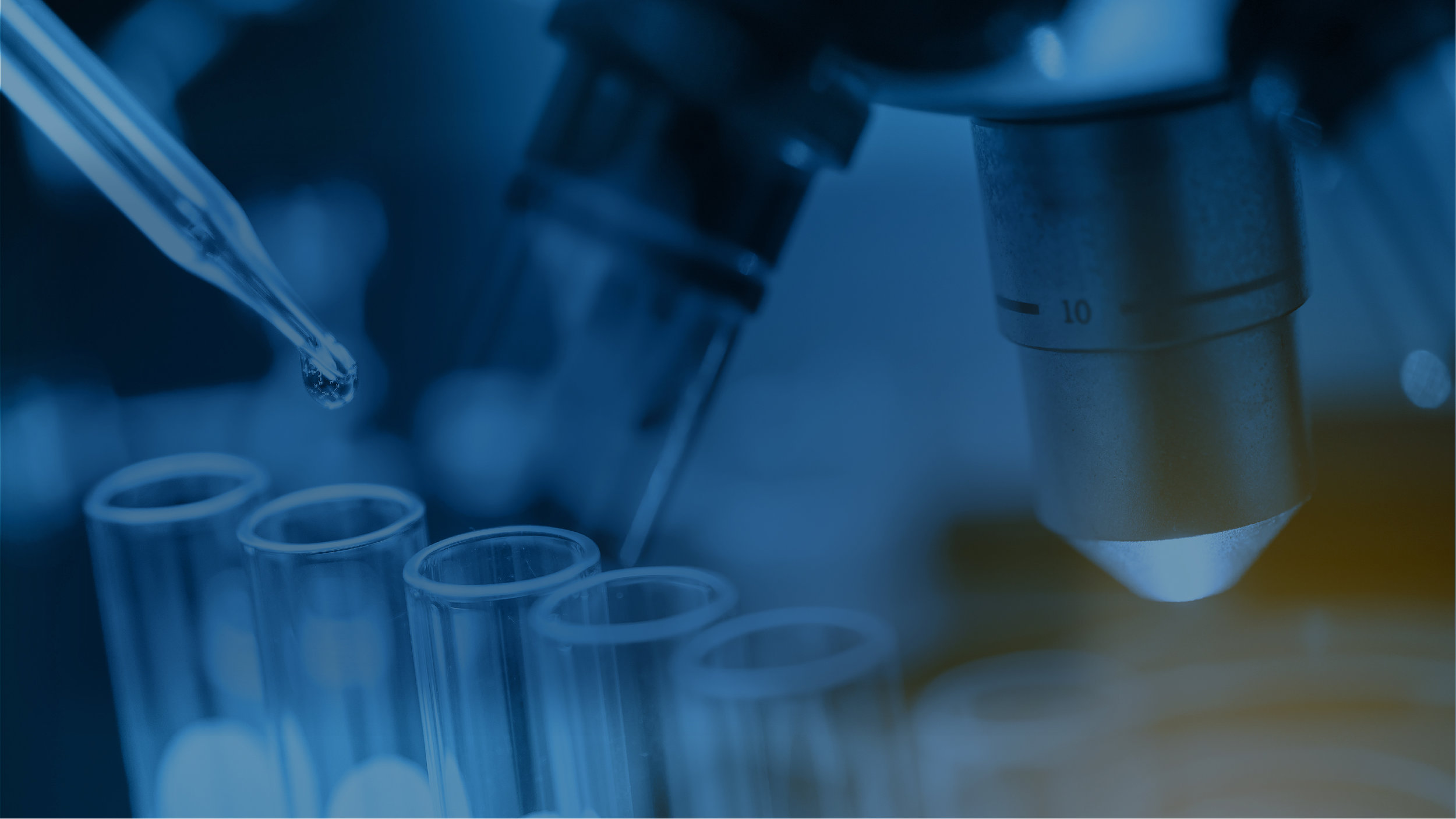 Health Banner-01.jpg