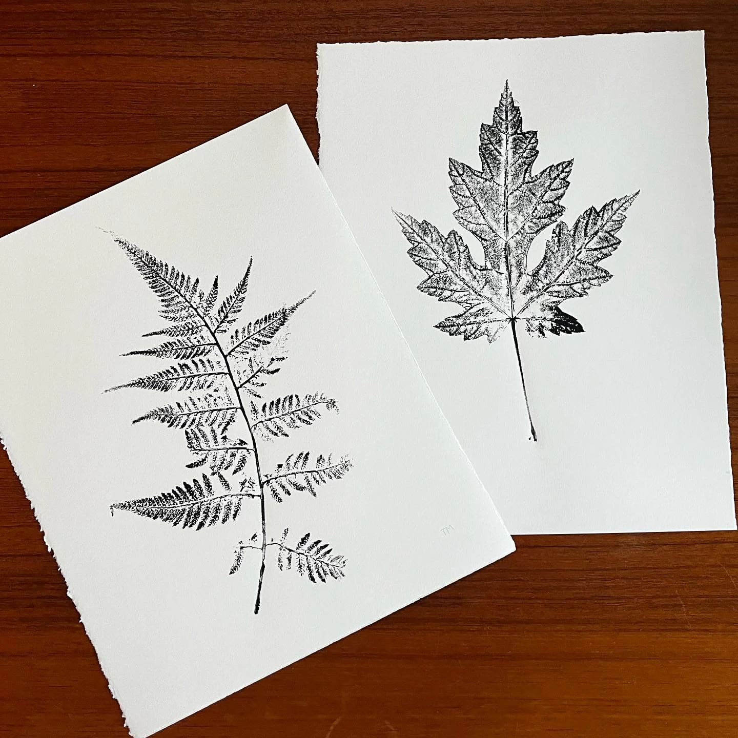 Have a one-of-a-kind artwork made of the important plants in your life!  Bring your leaves from your favourite trees or plants to Spruce Moose at the Western Fair Market this weekend by Sunday at 2pm and your custom artwork will be ready to be picked