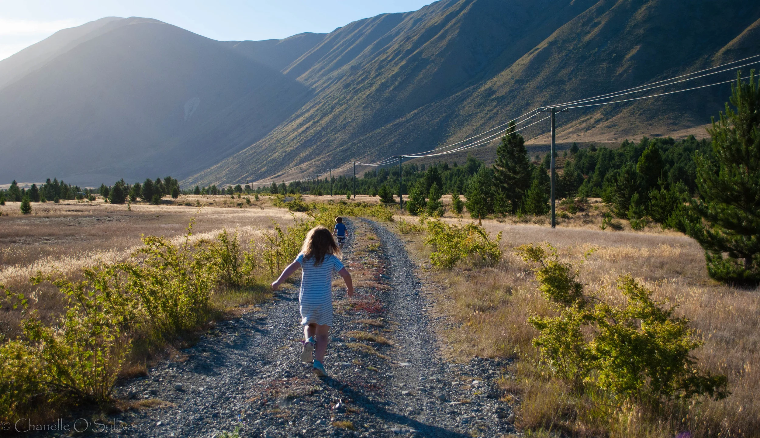 Ohau Golden Hour-1-3.jpg