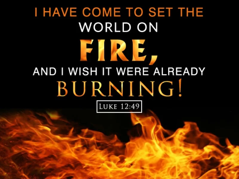 HOMILY 8/18/19 - iv