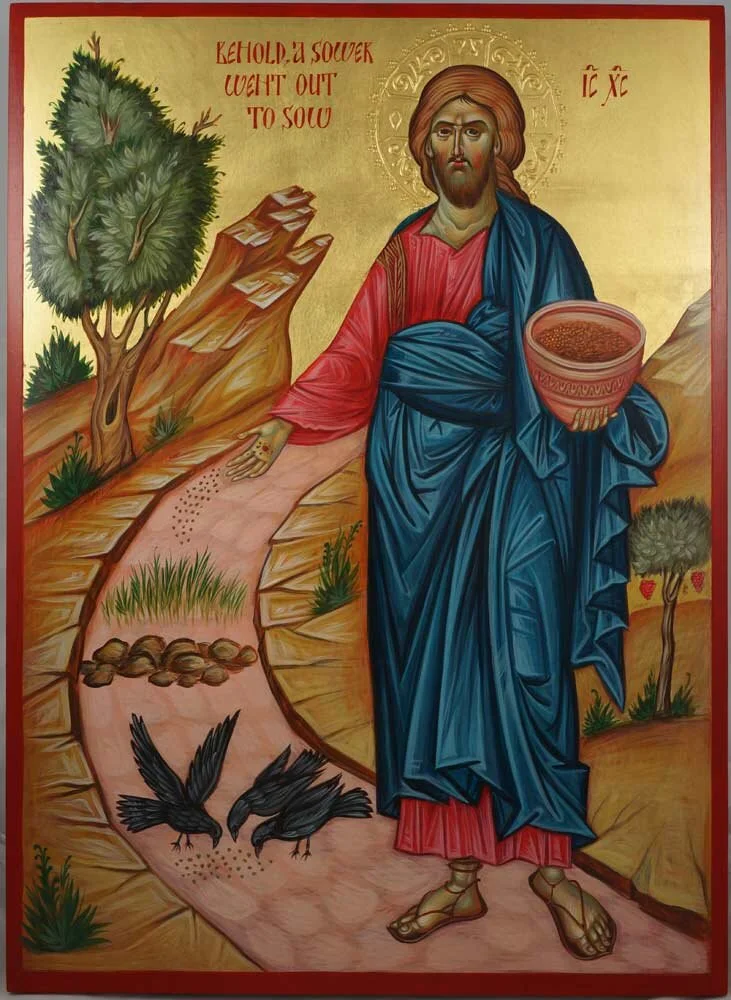 HOMILY 7/12/20 - II