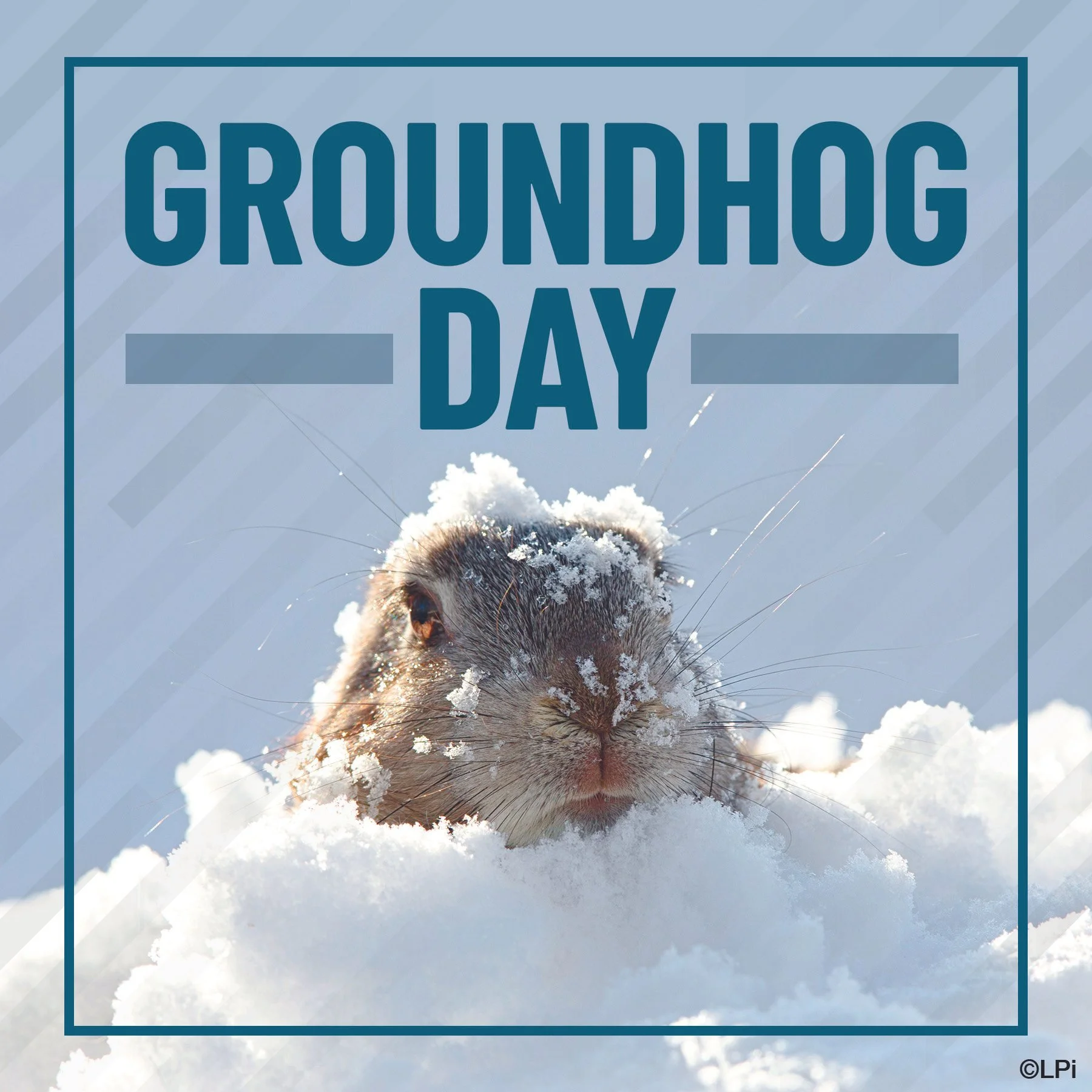 PASTOR'S NOTE:  Feb 01, 2026