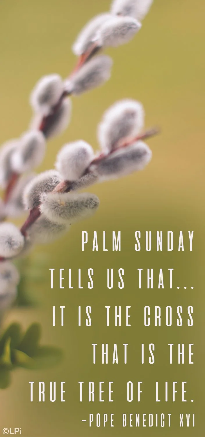 PASTOR'S NOTE:  Mar 29, 2026