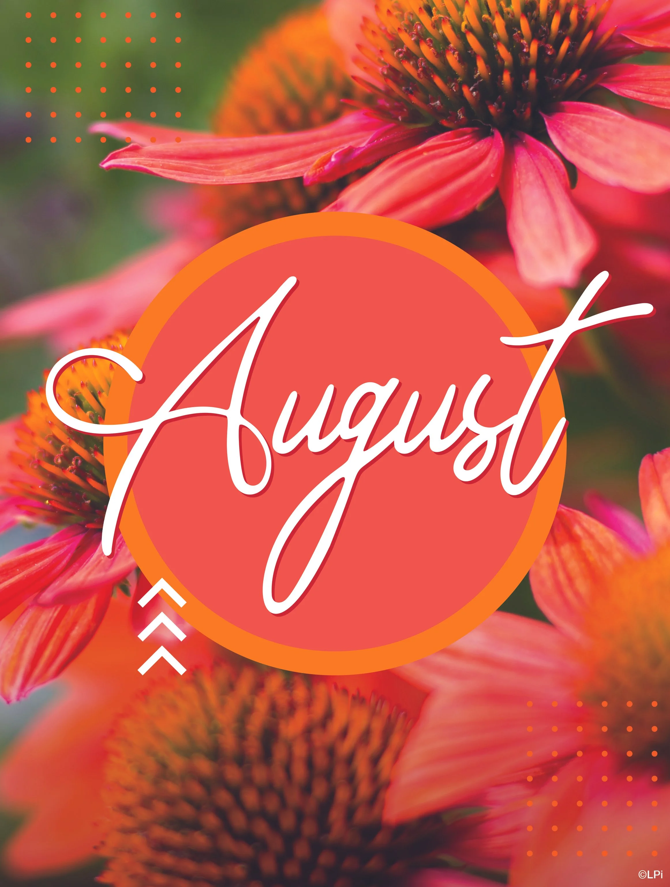PASTOR'S NOTE:  Aug 02, 2026