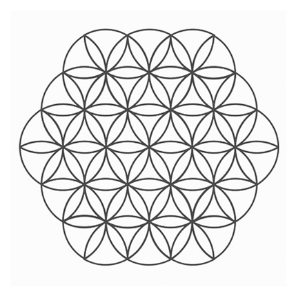 Flower.jpg