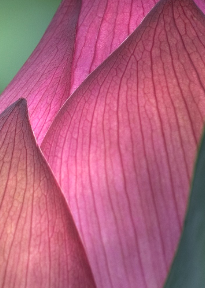 Screen Shot 2019-01-30 at 1.33.47 AM.png