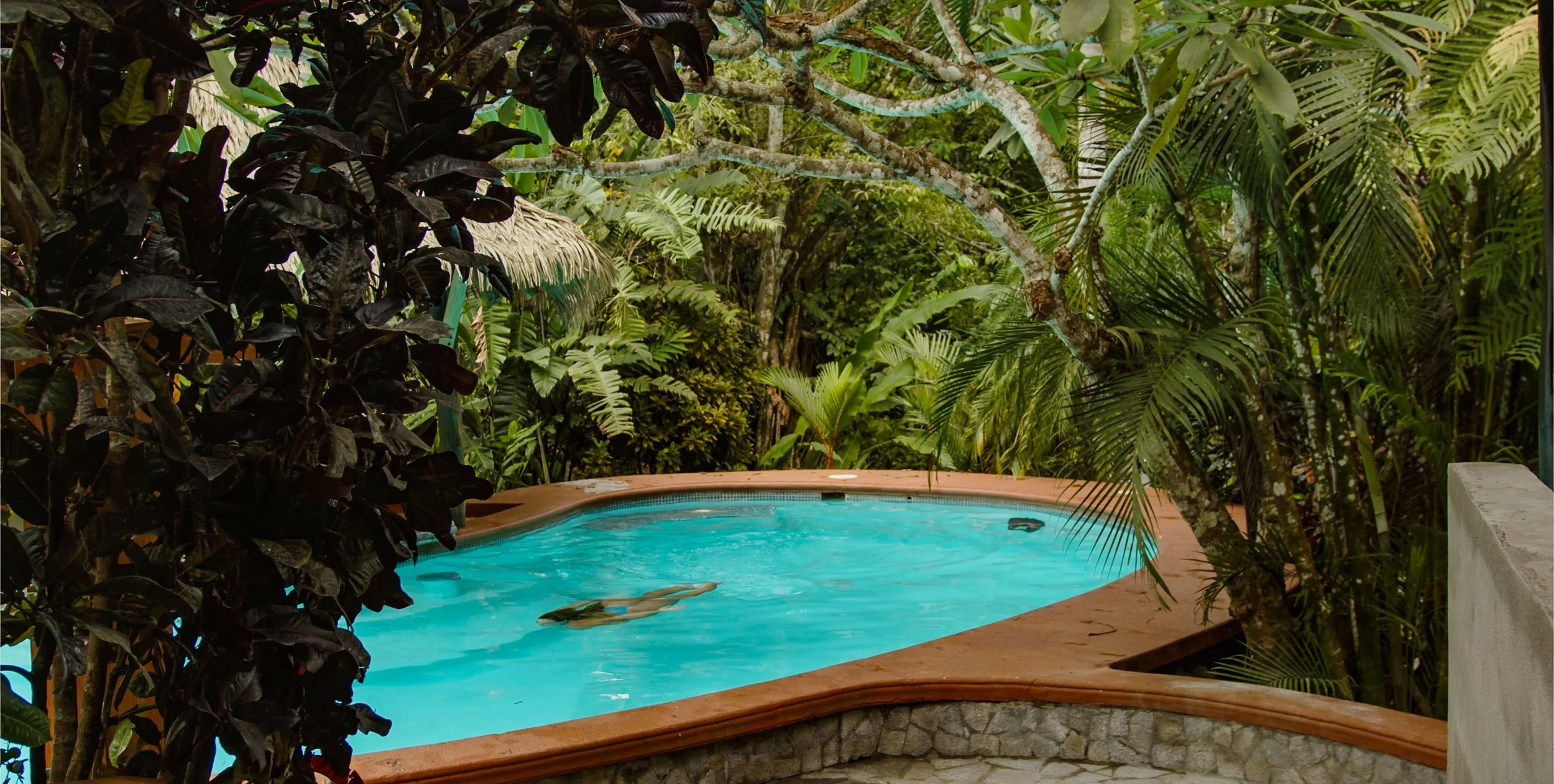 Screenshot 2023-12-21 at 1.53.36 PM.jpg