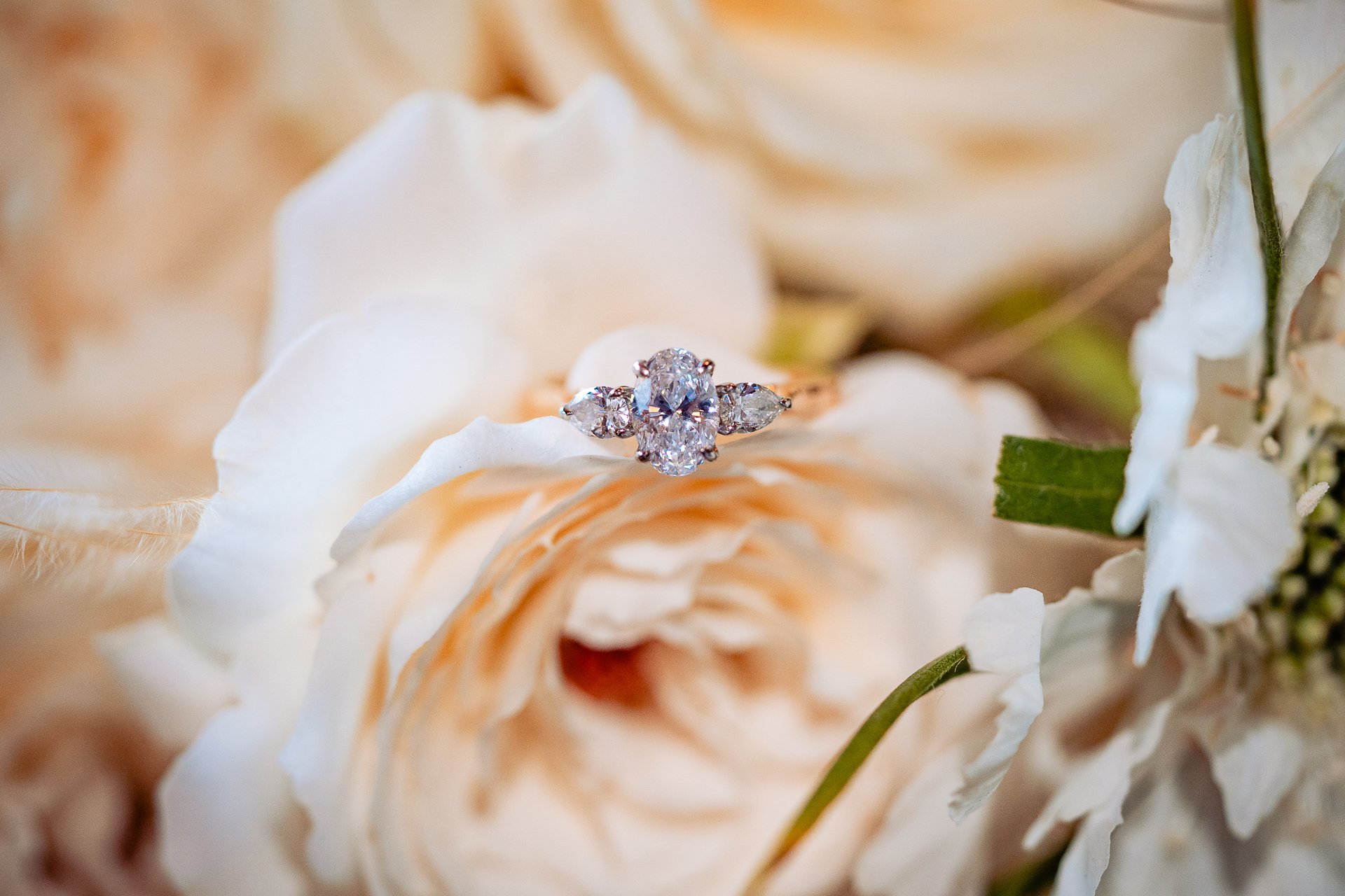 Fernhill House Hotel Wedding Photography Cork-1004.JPG