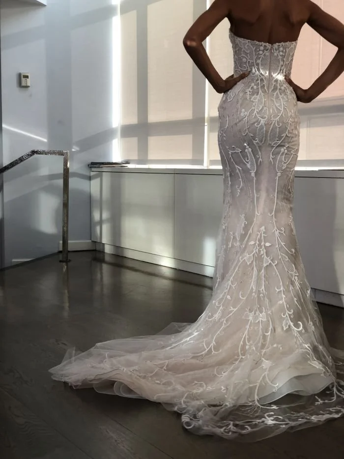 Carnegie IDS Back.jpeg