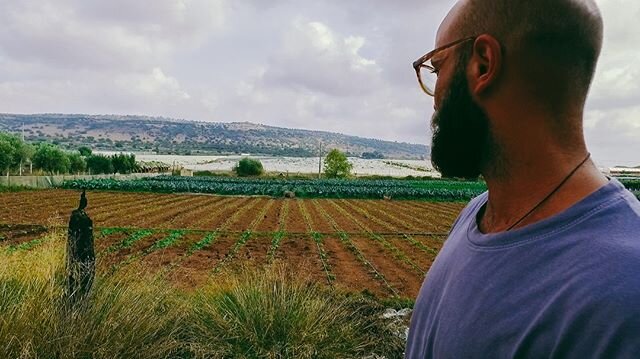 It's Tuesday Choose-Your-Adventure-Day🎈⁠
⁠
Salvo's on the hunt... on the hunt for some good food, good produce, good food stories🛒🔦⁠
⁠
You've got any good ones from where you are??📩⁠
⁠
Check out our Sicilian food stories on traditional handmade p