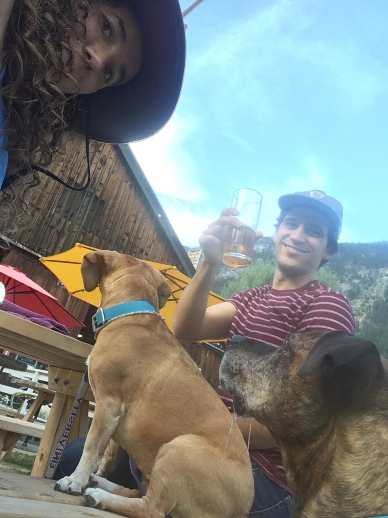 Tips for Taking Your Dog to a Brewery