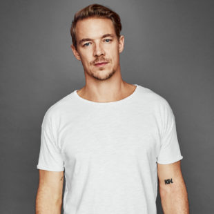 DIPLO