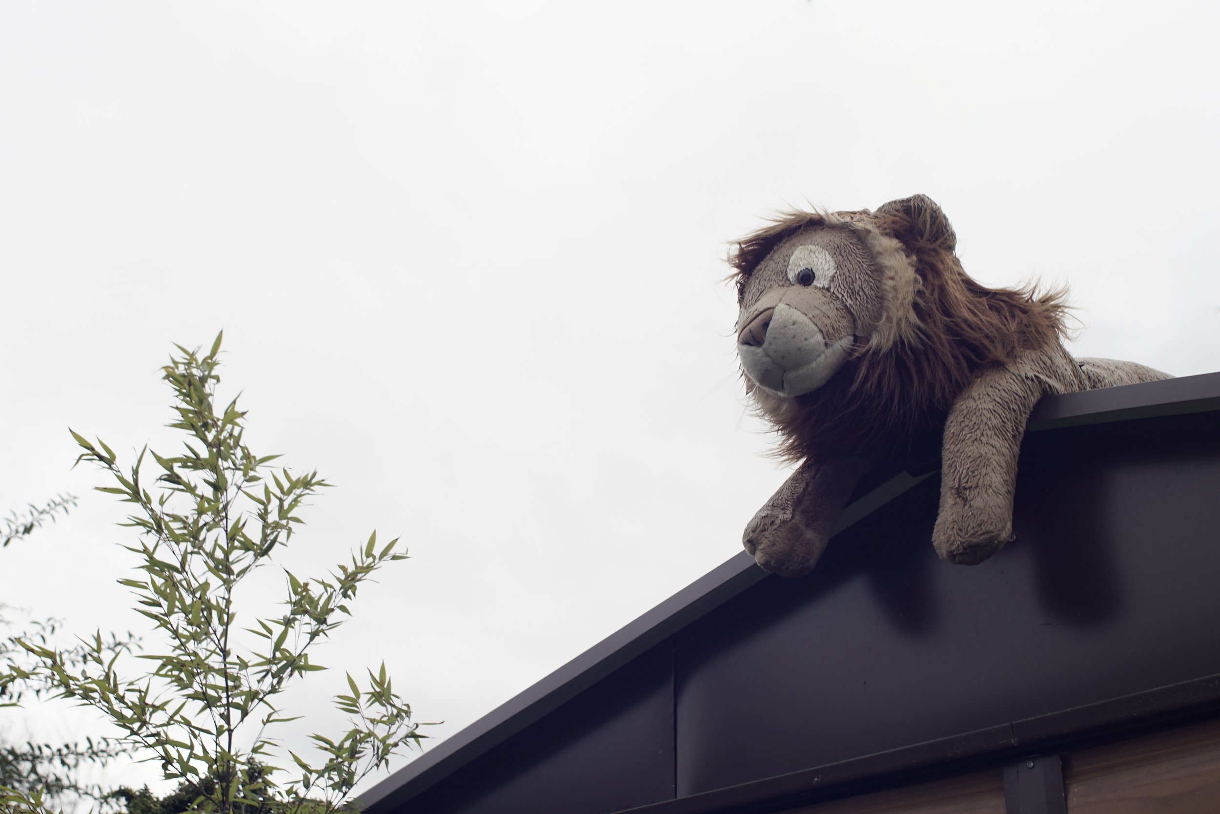 Garage Lion - Oxford, England