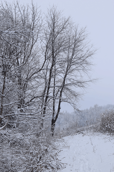topofhillwithsnow.gif