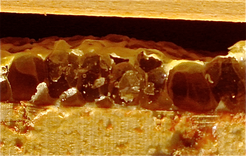 DSC03735.gif