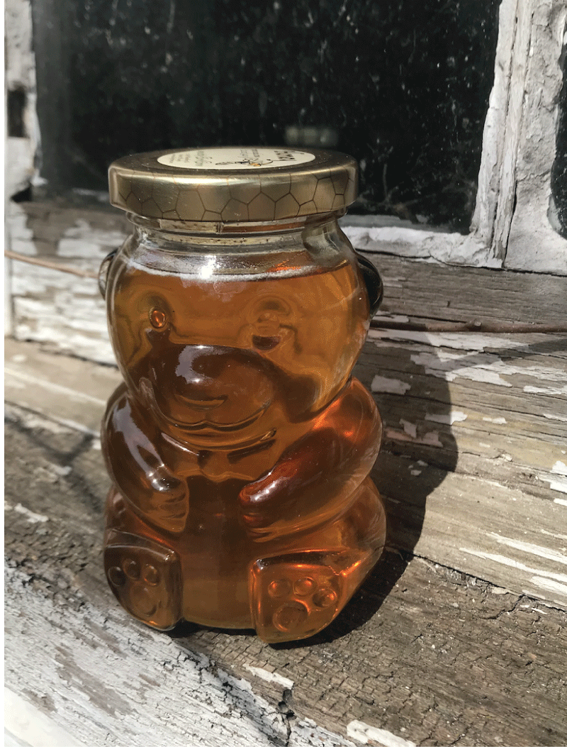 honeybear.gif