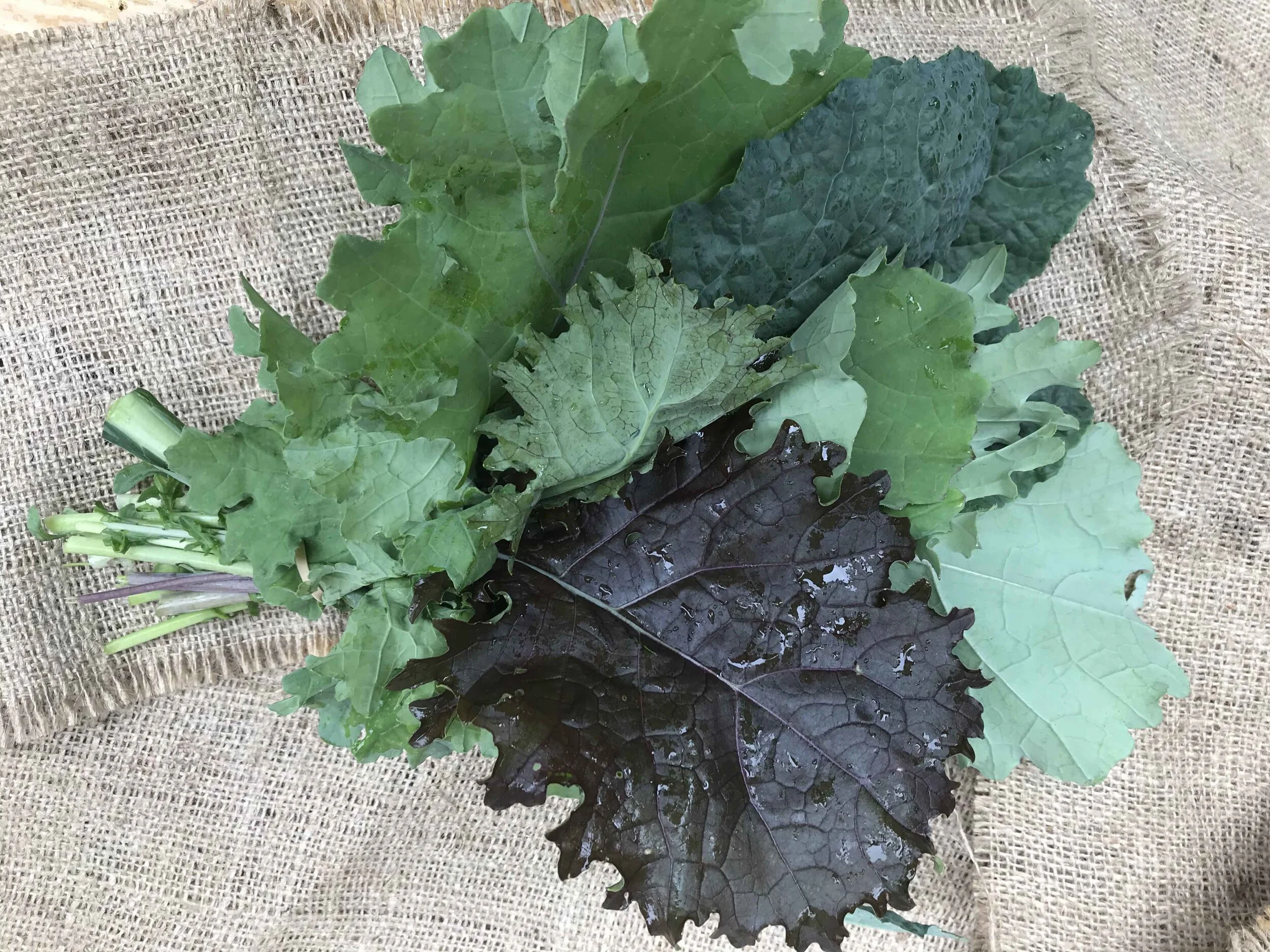 kale.jpg