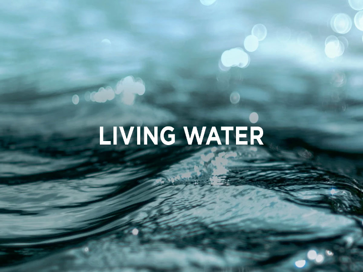 Sermon 2021-06-06: Come and See