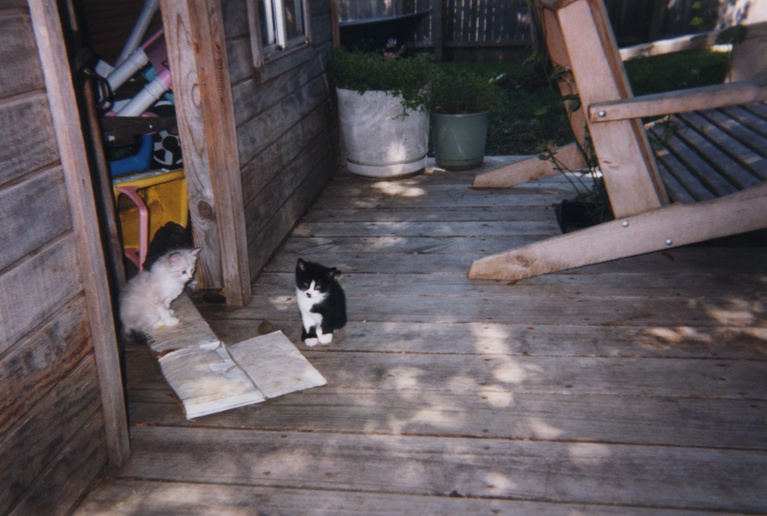 Scan 905.jpeg