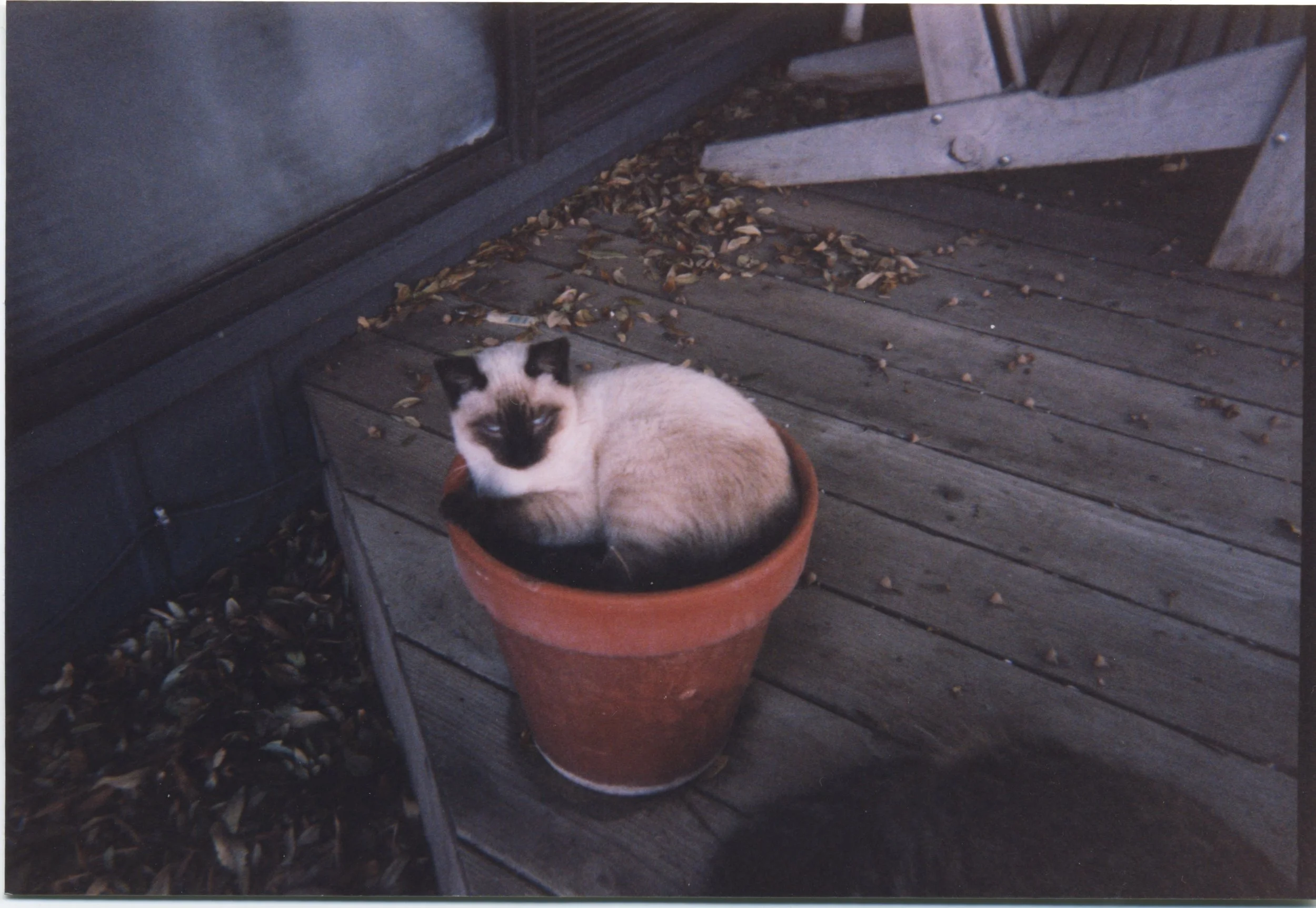 Scan 906.jpeg