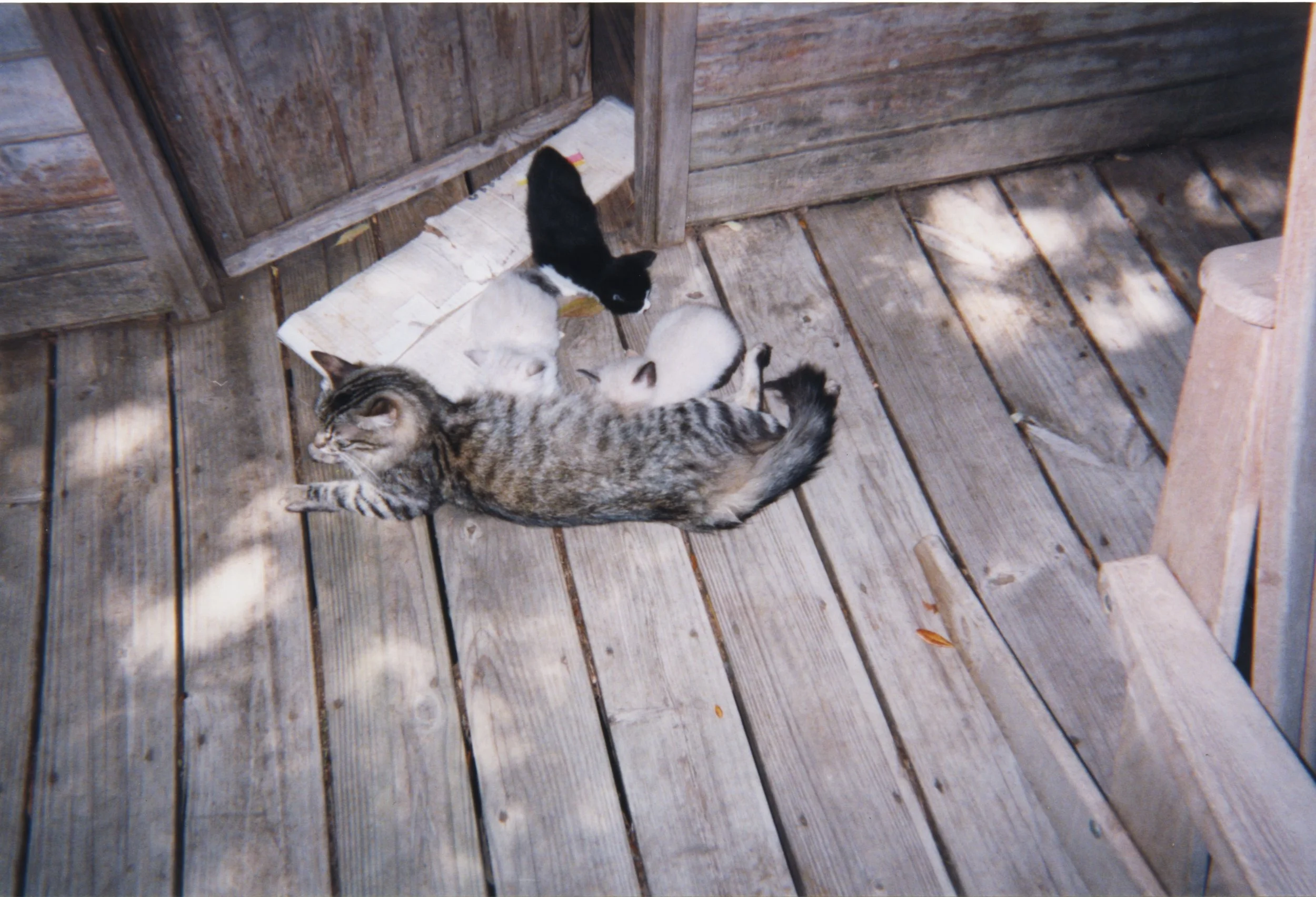 Scan 907.jpeg