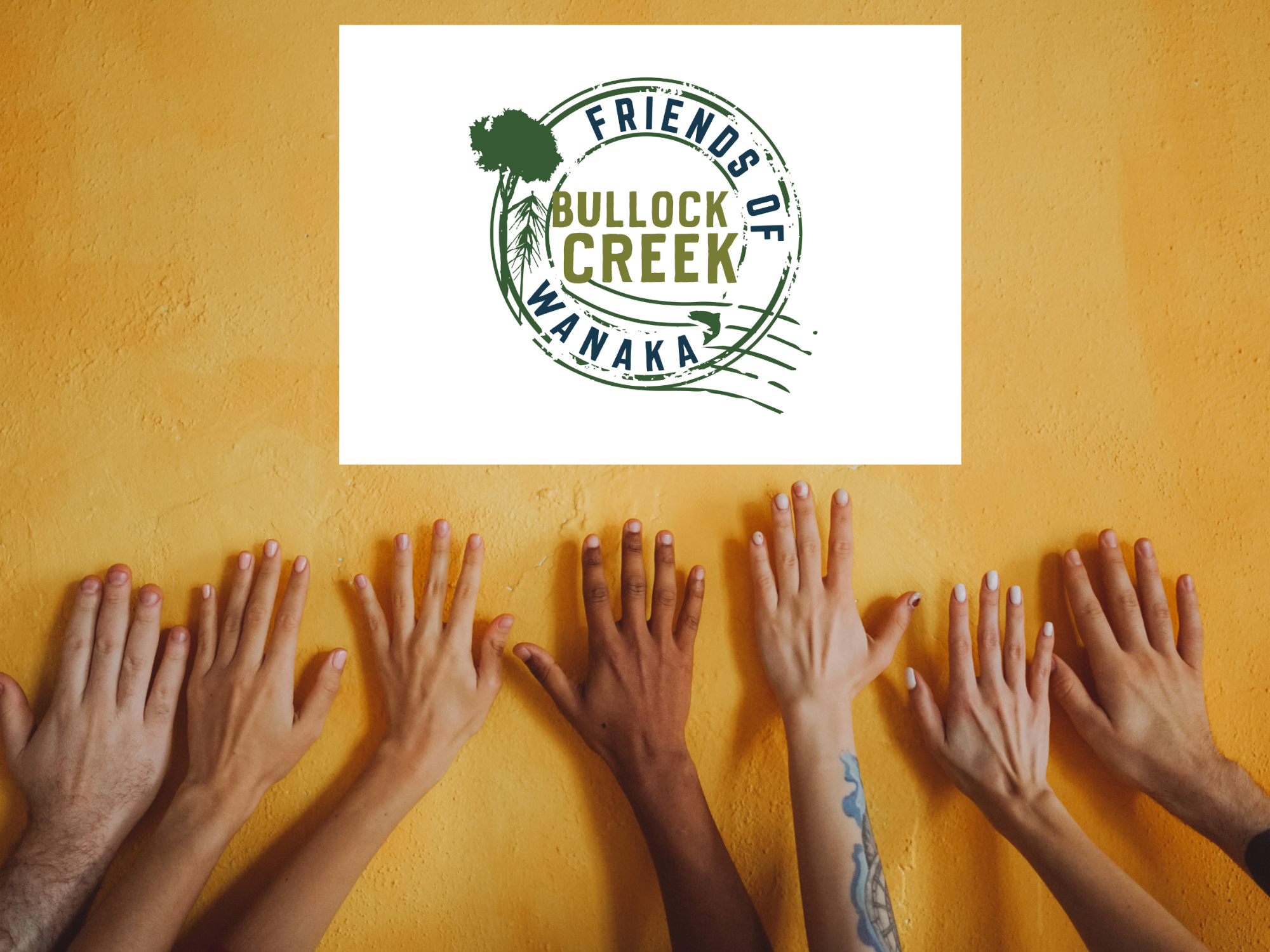 How to Support FOBC in 2024 — Friends of Bullock Creek