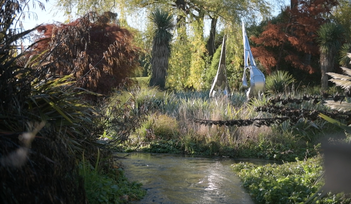 Downtown Creek habitat.