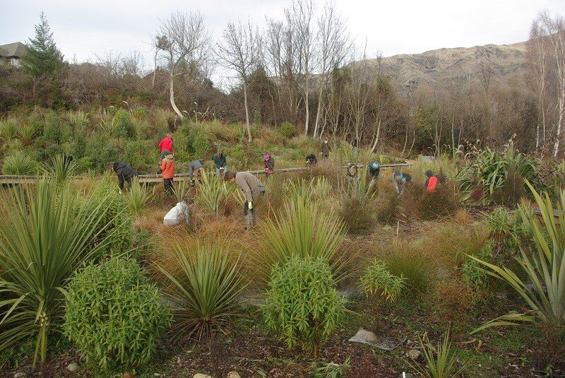 Tree planting 1.jpg