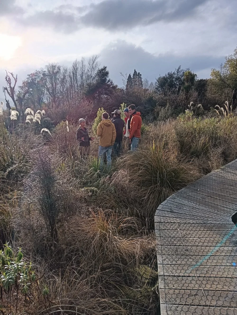 NZMFF filming 1.jpeg