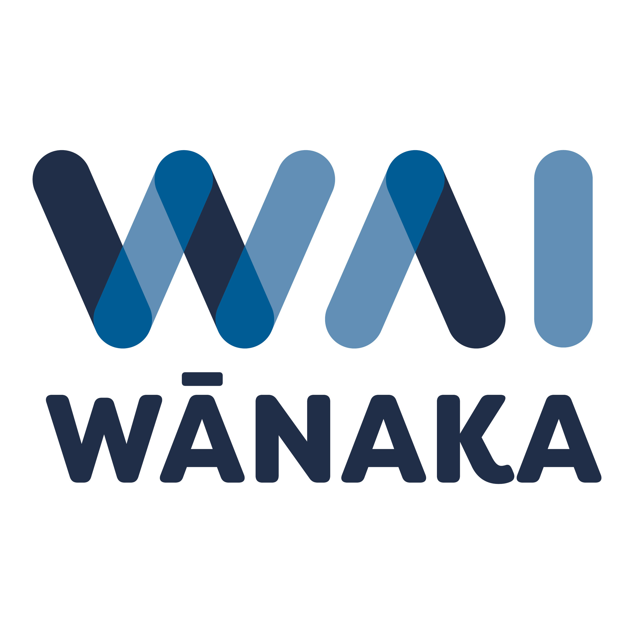WAI Wānaka