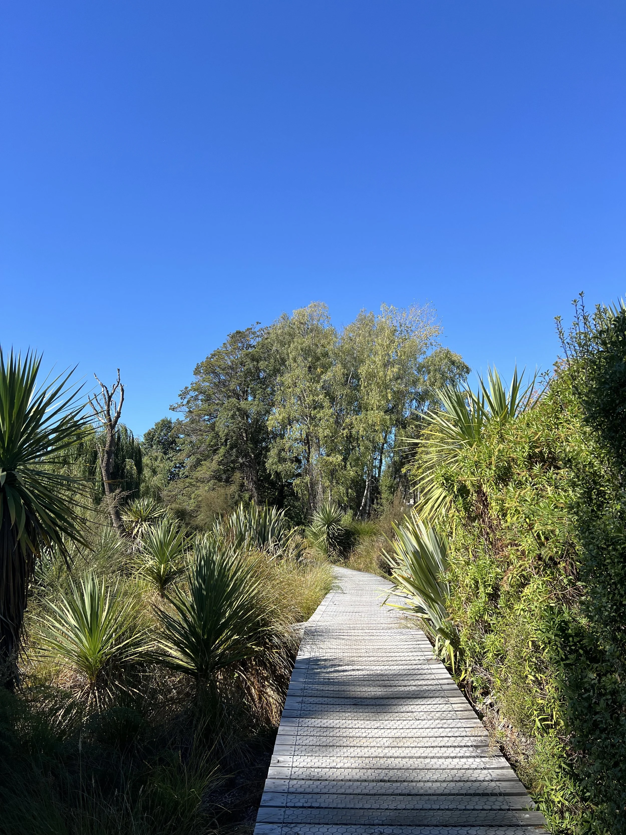 blue sky boardwalk.jpg