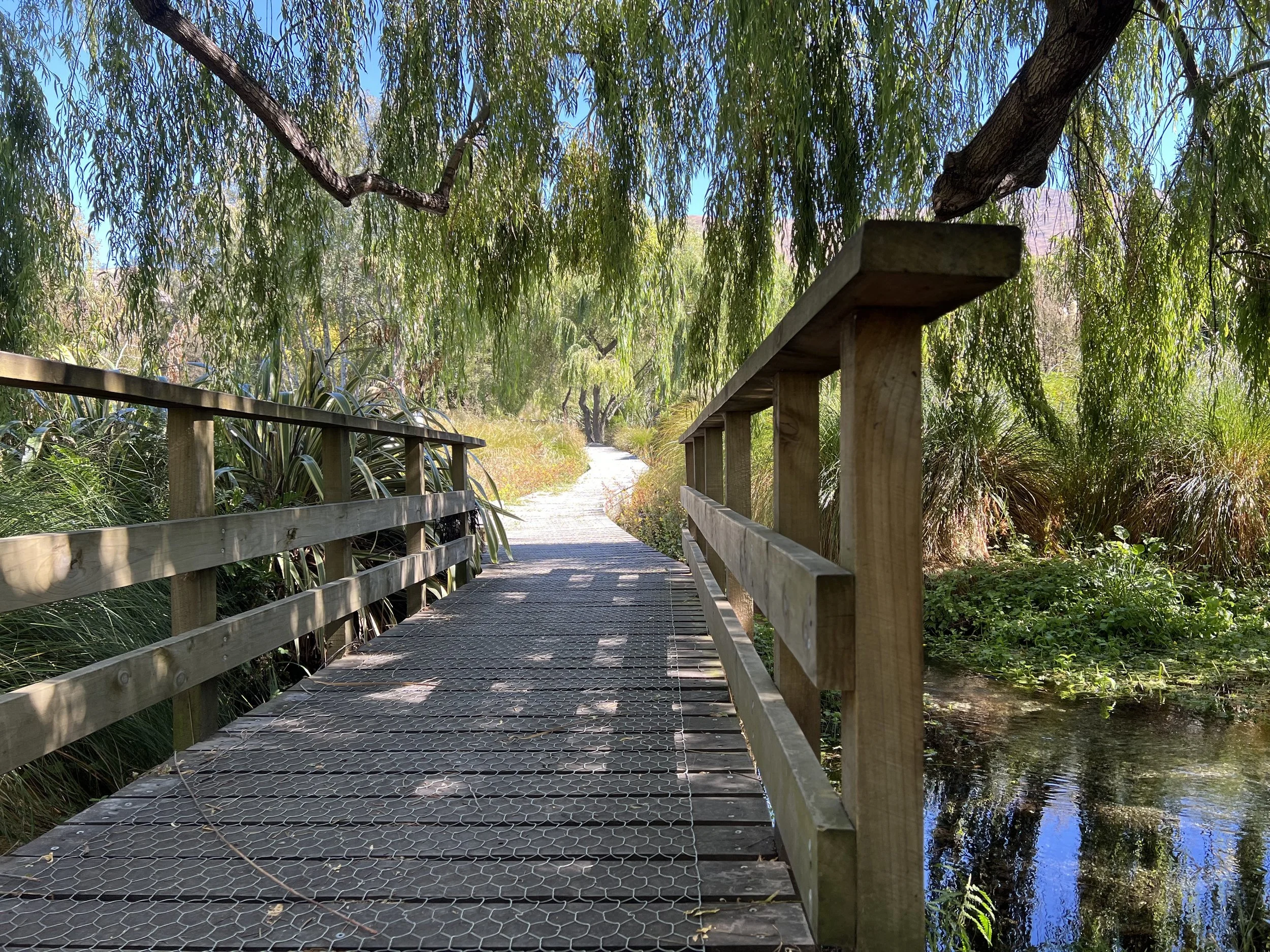 bridge.jpg