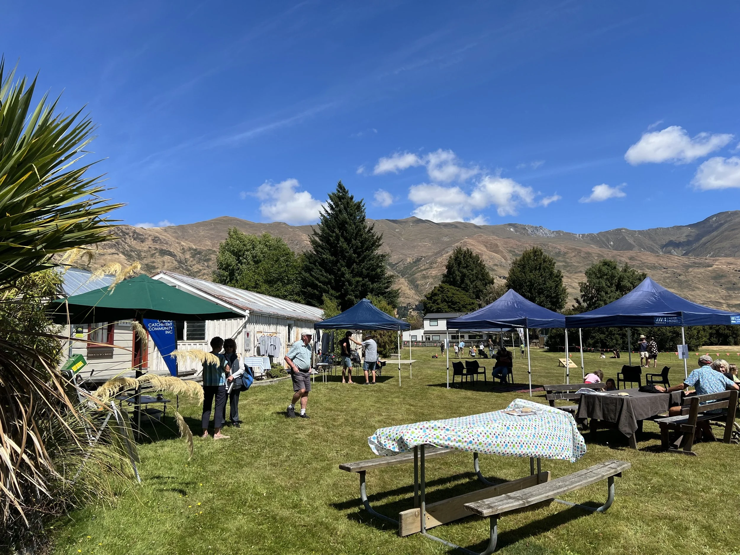 lawn tents small.jpg