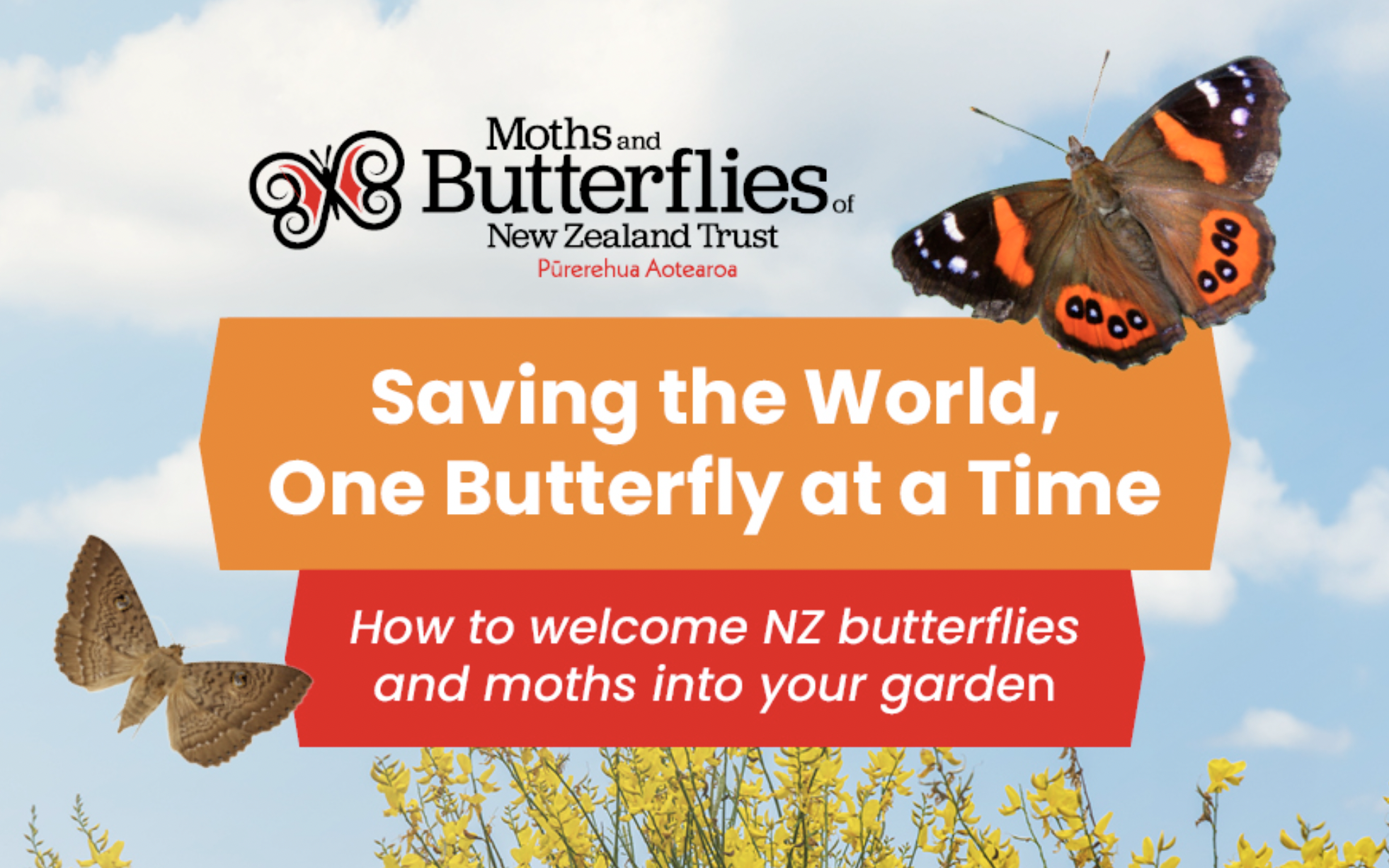Saving the World, One Butterfly at a Time