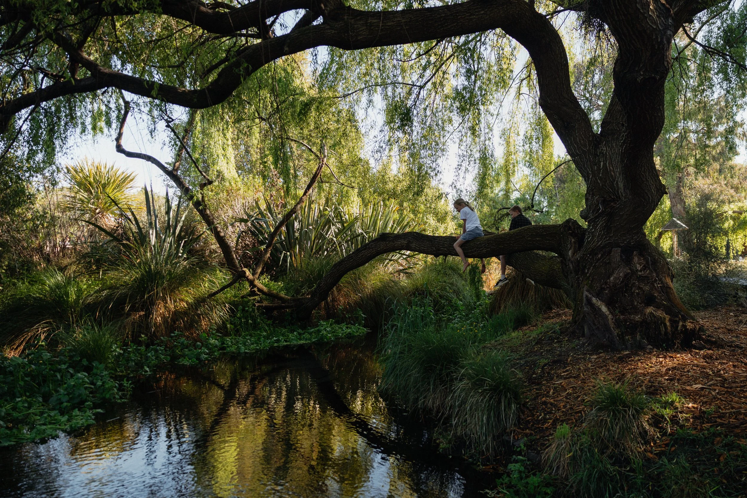 Love Wānaka Planting Shoot-16 copy.jpg