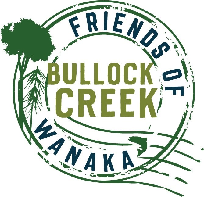 Friends of Bullock Creek